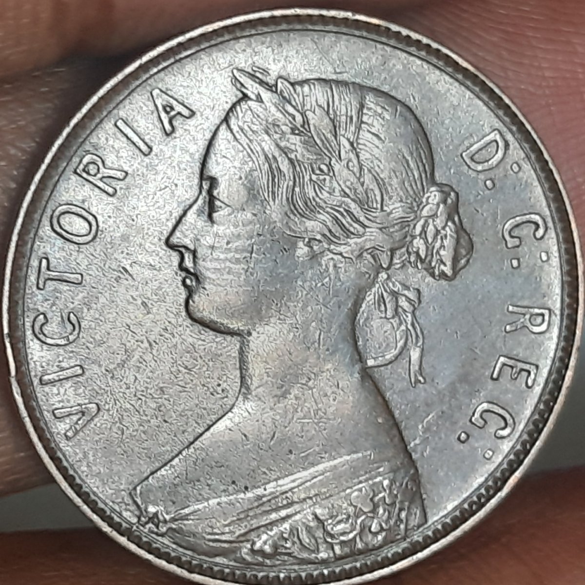 1876-H-New-Foundland-1-Cent